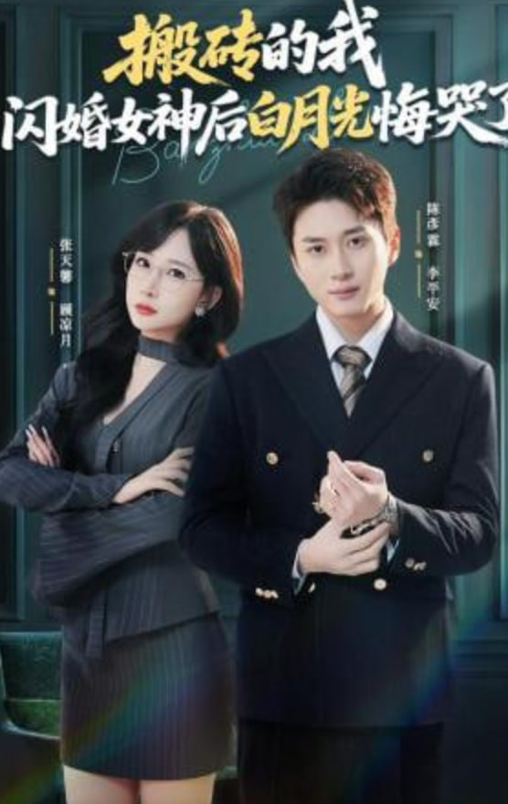 搬砖的我，闪婚女神后白月光悔哭了(全集)