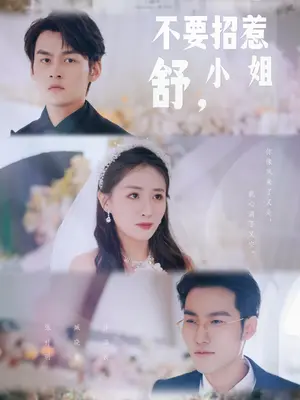 不要招惹舒小姐21-40集