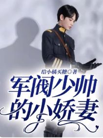 少帅的小娇妻全集(大结局)