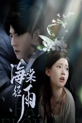 海棠经雨全集(大结局)