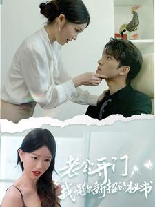 老公开门，我是你新招的秘书全集(大结局)