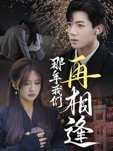 那年我们再相逢全集(大结局)