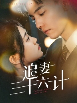 追妻三十六计全集(大结局)