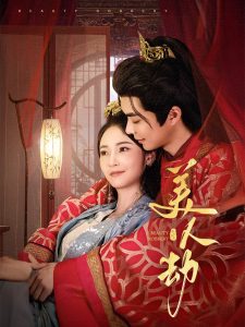 美人劫第41-60集完结(大结局)