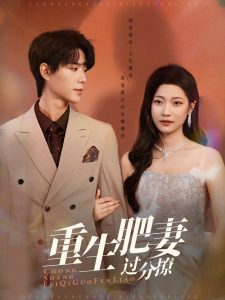 重生肥妻过分撩全集(大结局)